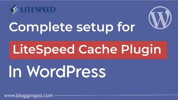 LiteSpeed Cache Plugin